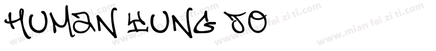 human yung jo字体转换